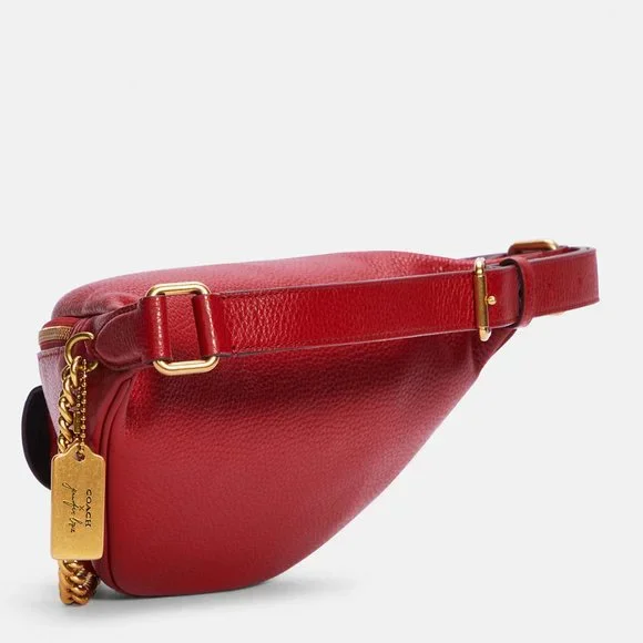 Coach X Jennifer Lopez Chain Belt Bag - Picture 4 of 15